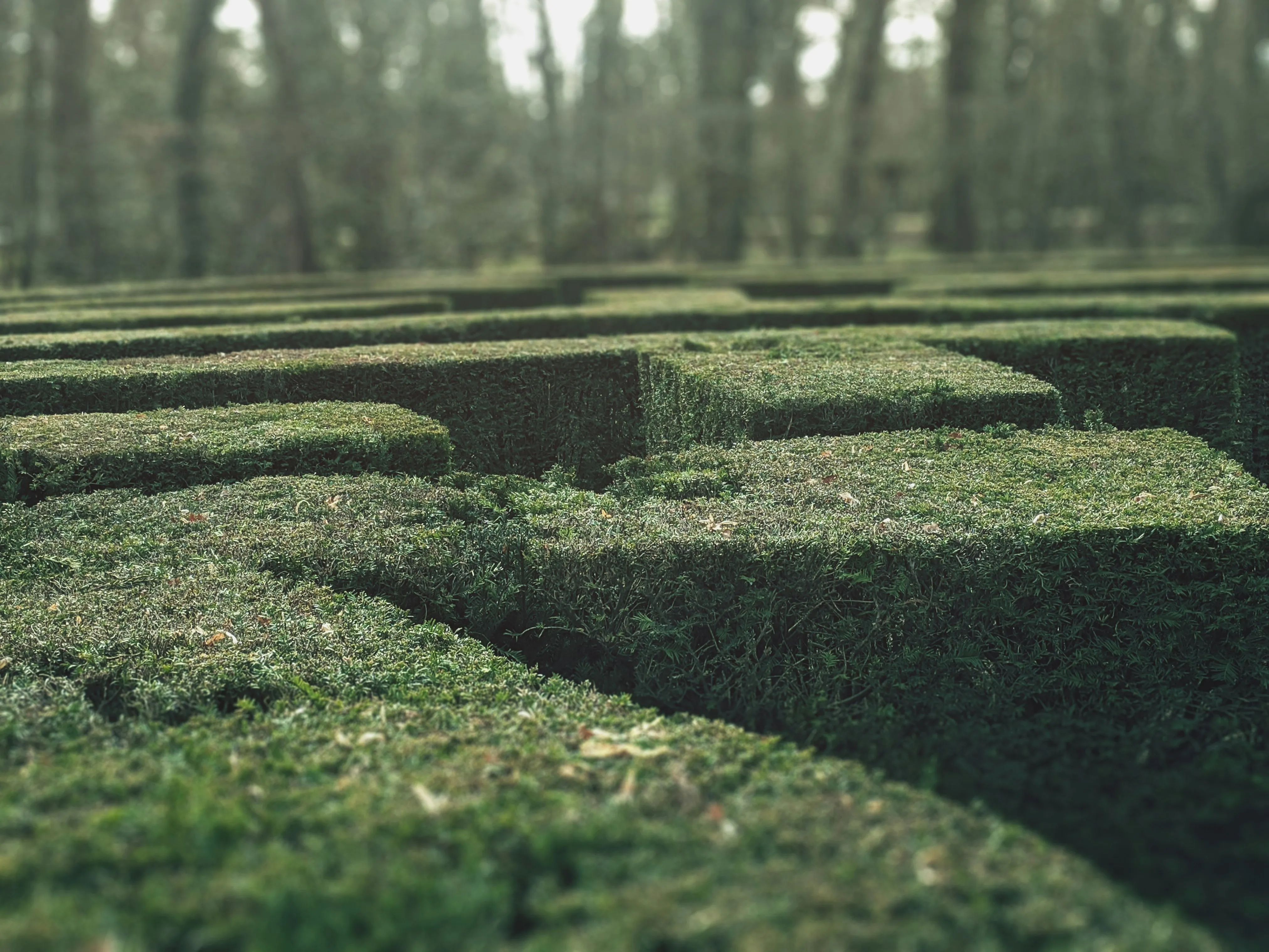 In an outdoor labyrinth.